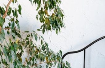 Balancing Care: Independence vs. Reliance for the Disabled Balancing Care: Independence vs. Reliance for the Disabled