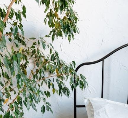 Balancing Care: Independence vs. Reliance for the Disabled Balancing Care: Independence vs. Reliance for the Disabled