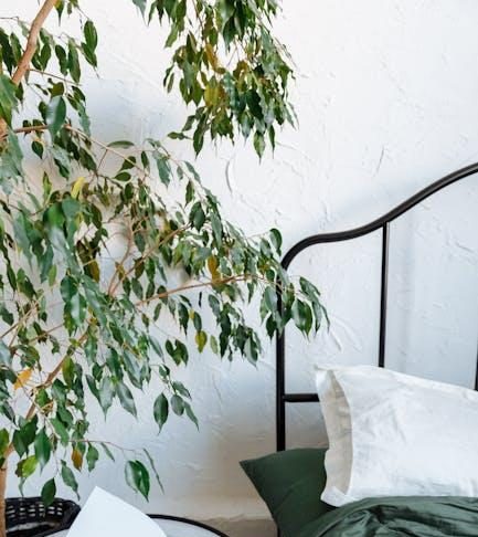 Balancing Care: Independence vs. Reliance for the Disabled