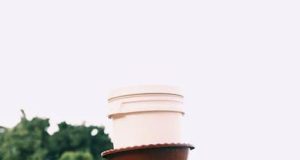 Balancing Tradition and Tourism: A Delicate Dance Balancing Tradition and Tourism: A Delicate Dance