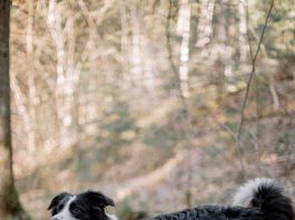 Explore Culture Through Top Outdoor Adventure Spots
