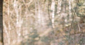 Explore Culture Through Top Outdoor Adventure Spots Explore Culture Through Top Outdoor Adventure Spots