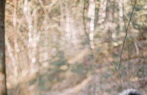 Explore Culture Through Top Outdoor Adventure Spots Explore Culture Through Top Outdoor Adventure Spots