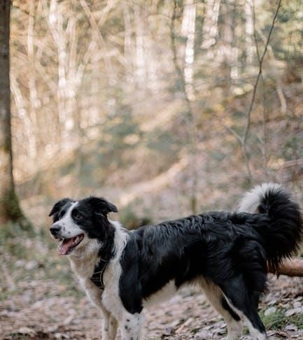 Explore Culture Through Top Outdoor Adventure Spots