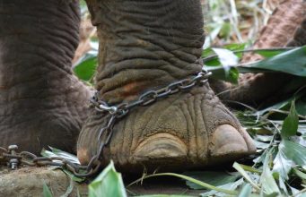 Tourism’s Impact: Balancing Heritage and Influx Tourism’s Impact: Balancing Heritage and Influx