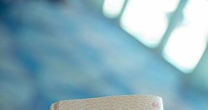 Navigating Customs: Top Tips for Strict Entry Nations Navigating Customs: Top Tips for Strict Entry Nations