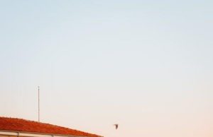 Tourism’s Toll: Balancing Heritage and Visitor Impact Tourism’s Toll: Balancing Heritage and Visitor Impact