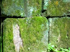 Balancing Act: Tourism and the Preservation of Tradition Balancing Act: Tourism and the Preservation of Tradition