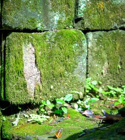 Balancing Act: Tourism and the Preservation of Tradition