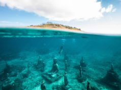 Explore Nature’s Wonders: Cultural Immersion Adventures Explore Nature’s Wonders: Cultural Immersion Adventures