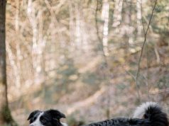 Explore Nature and Culture: Top Outdoor Adventure Spots Explore Nature and Culture: Top Outdoor Adventure Spots